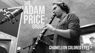 The Adam Price Group - Chameleon Colored Eyes - Live in Studio