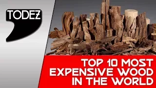 Top 10 Most Expensive Wood in the World // दुनिया के 10 सबसे महंगे लकड़ी !!