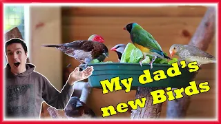 I BOUGHT a Lot of New BIRDS For My Dad!!