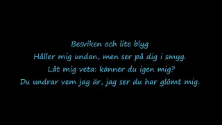 Den Julen Lyrics (Last Christmas Swedish)