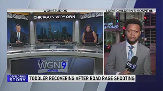 Toddler recovering after road rage shooting on Lake Shore Drive