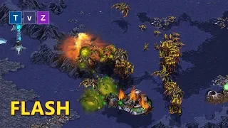 STARCRAFT: FLASH Y SUS NERVIOS DE ACERO ☝