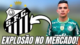 BOMBÁSTICO! JOGADOR TROCA O VERDE PELO BRANCO! SANTOS ANÚNCIA CONTRAÇÃO! NOTÍCIA DO SANTOS!