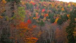 Andrea Bocelli ~ Les Feuilles Mortes (The Autumn Leaves)