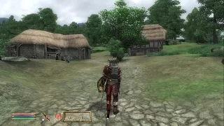 The Elder Scrolls IV: Oblivion ► Новый Кропсфорд ► 102