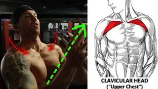 5 Forgotten Upper Chest Exercises (NO BENCH NEEDED!)