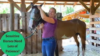 Ivy, the Babysitter of Kids and Her Horse Massage