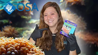 How to Test Magnesium in YOUR Reef Aquarium!