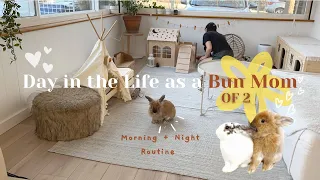 A Day in the Life as a Bun Mom of two - Morning + Night Routine!