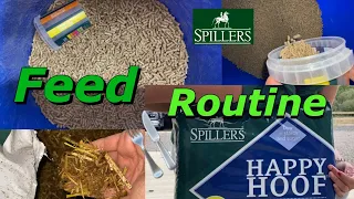 UPDATED FEED ROUTINE | What we feed our horses inc SPILLERS