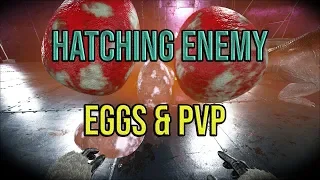 Hatching Enemy Eggs & PVP | Unofficial Gentleman's Ark | ARK: Survival Evolved Ep 4