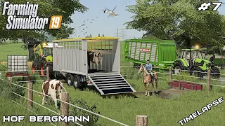 Making GRASS SILAGE & moving ANIMALS w/ KEDEX | Hof Bergmann | Farming Simulator 19 | Episode 7