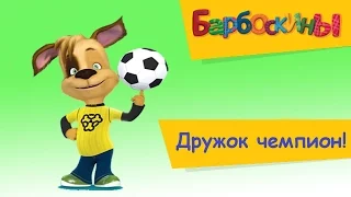 Барбоскины - Дружок будущий чемпион!   Мультфильм - раскраска