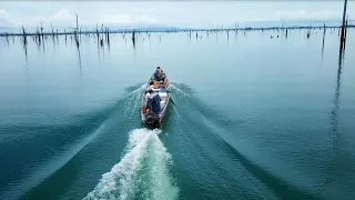 Lake Fishing for Peacock bass and Piranha