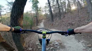 Bluejay at Northwoods trails