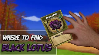 Where to get Black Lotus in Wizard101 | Tutorial