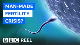 Fertility crisis: Is modern life making men infertile? - BBC REEL