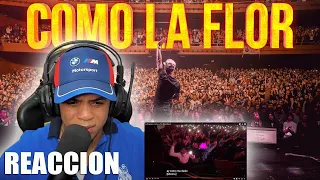 DOMINICANO REACCION A Ke Personajes - Como La Flor (Video Oficial)