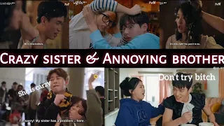 Kdrama Siblings Fight : Crazy Sister and Annoying brother