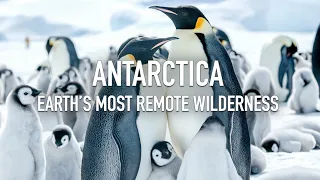 Antarctica - Earth’s most remote wilderness