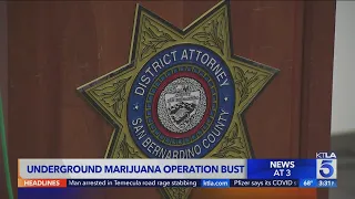 Underground marijuana operation bust