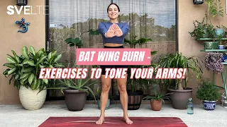 Ultimate Arm Workout To Get Rid Of Bat Wings For Beginners