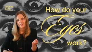 Understanding the Visual System: The Eyes and Retina | Episode 1