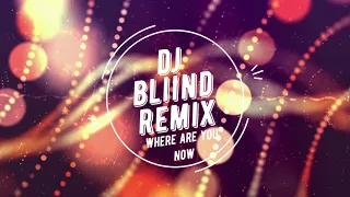 Lost Frequencies ft Calum Scott - Where Are You Now (DJ BliiND remix)