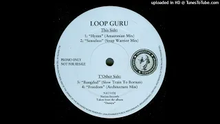 Loop Guru - Senseless (Soup Warrior Mix)