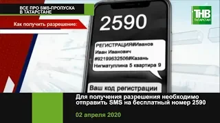 Вся информация про СМС-пропускам в Татарстане 😷 ТНВ