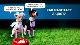 Как работает цвет на примере С2? [Дизайн Человека]