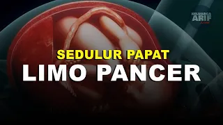 Interpretation of Sedulur Papat Limo Pancer Mantra Sunan Kalijaga