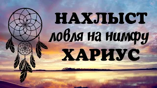 Нахлыст . Ловля на нимфу . Хариус