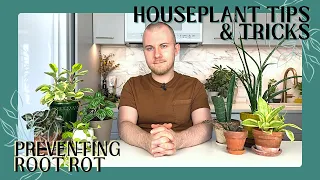 5 Tips For Preventing Root Rot | Houseplant Tips & Tricks Ep. 10