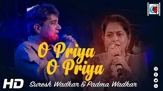 O Priya Priya | Dil | Aamir Khan, Madhuri Dixit | Super Hit Song | Coverd By Suresh & Padma Wadkar