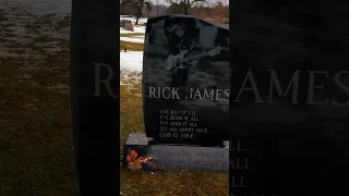 Rick James Grave🪦⚰️ #shorts #cemetery #guitarist #superfreak #buffalony #rickjames