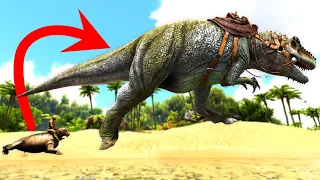 All Rideable Dinosaurs and Creatures on The Island (Ark Survival Evolved)