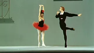 Don Quixote из фильма-балета "Дуэт"  1973 год