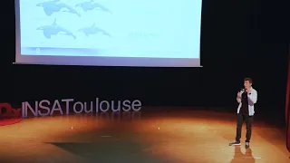 Unleashing Personal Growth through Wildlife Adaptation | Pierre Huberdeau | TEDxINSAToulouse