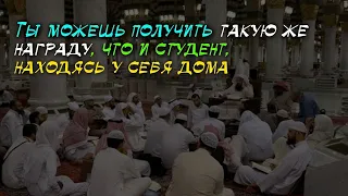 О награде того, кто расходует на пути требования знаний | Шейх Халид аль-Фулейдж