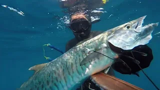 spearfishing israel