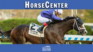 Review of the Preakness and Steve Sexton Mile and Texas Derby top picks on HorseCenter