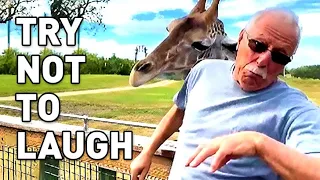 NON-STOP LAUGHTER | Try Not To Laugh 🤣  [2 HOUR]