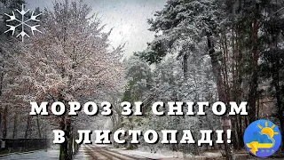 Засніжить та вдарять морози: народний синоптик попередив українців про холодний листопад