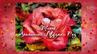 Танго ароматной музыки роз