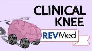 The Clinical Knee an easy run through! - Anatomy