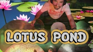 Lotus Pond - Aakash Gandhi - Drum&Bass Cover by Claudio Contri