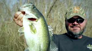 Fishing Bass Spawn in January?? Greg Hackney on Winter Bass Tips - Sportsman TV