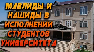 Мавлиды и нашиды в исполнении студентов ИУ имени имама Ашъари.