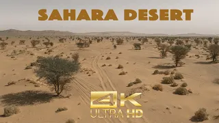 SAHARA DESERT MERZOUGA - 4K